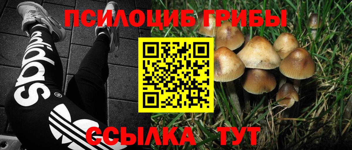 Галлюциногенные грибы мухоморы Новотроицк