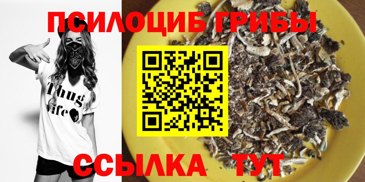 Псилоцибиновые грибы мицелий  Вход с VPN  Новотроицк 